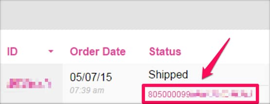 Mexico Package Tracking